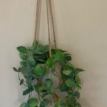 Gisela Graham Faux Trailing Hoyas in Hanging Pot