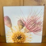 Splosh Flourish Sunflower Ceramic Coaster