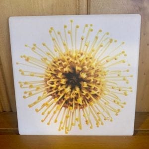 Splosh Flourish Yellow Floral Ceramic Coaster