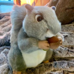 Aurora MiYoni Grey Squirrel