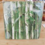 GISELA GRAHAM – Bamboo Paper Napkin (pack of 20)